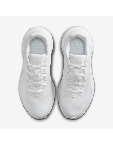 Nike Downshifter 14 W IB1899102 Shoes