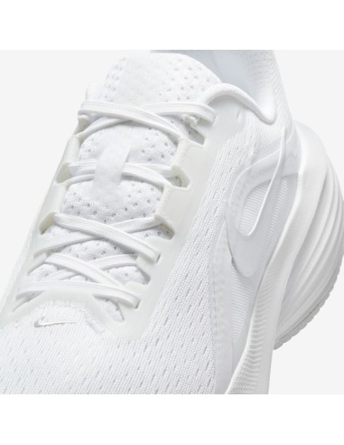 Nike Downshifter 14 W IB1899102 Shoes