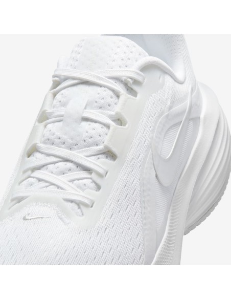 Nike Downshifter 14 W IB1899102 Shoes