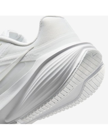 Nike Downshifter 14 W IB1899102 Shoes