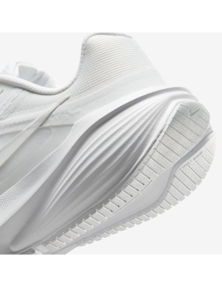 Nike Downshifter 14 W IB1899102 Shoes