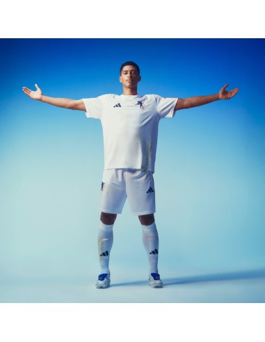 adidas Predator Elite FT FG JS0376 football boots