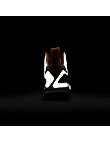 Nike LeBron 9 King of LA DJ3908600 MBS