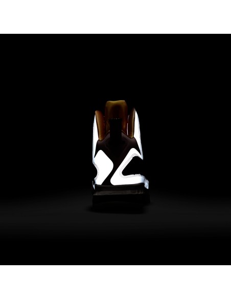 Nike LeBron 9 King of LA DJ3908600 MBS