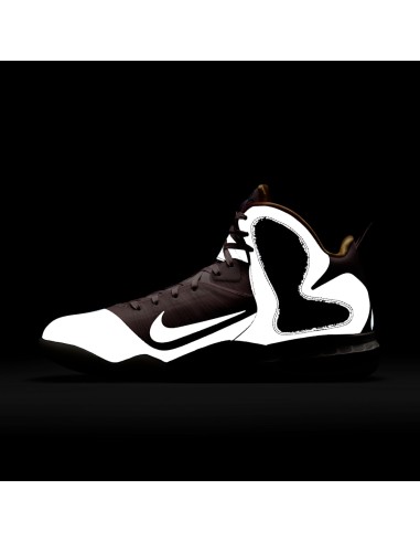 Nike LeBron 9 King of LA DJ3908600 MBS