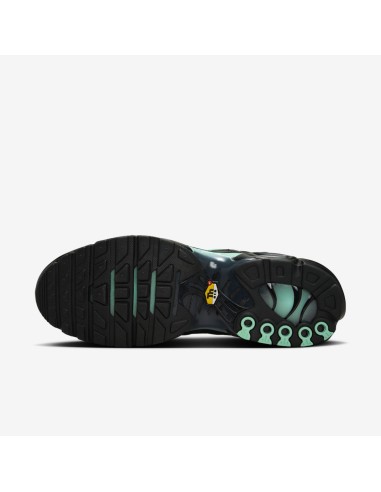 Nike Air Max Plus Black Mint Green DM0032029 MBS