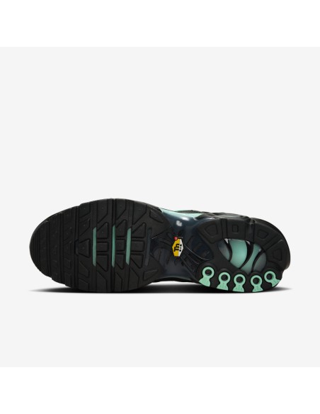 Nike Air Max Plus Black Mint Green DM0032029 MBS