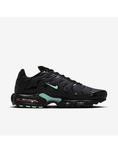 Nike Air Max Plus Black Mint Green DM0032029 MBS