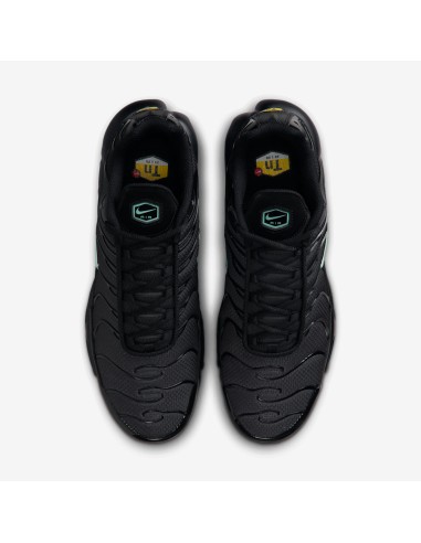 Nike Air Max Plus Black Mint Green DM0032029 MBS