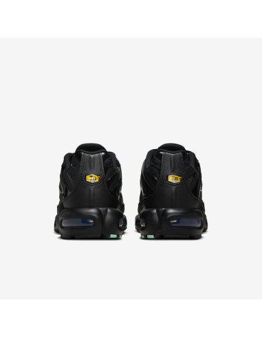 Nike Air Max Plus Black Mint Green DM0032029 MBS