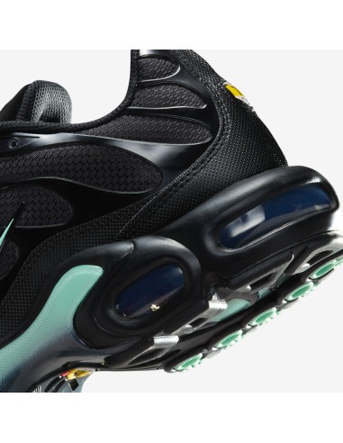 Nike Air Max Plus Black Mint Green DM0032029 MBS