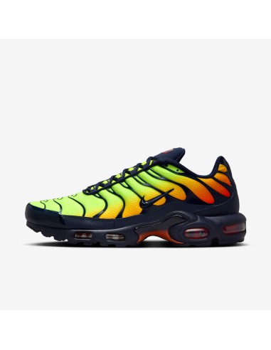 Nike Air Max Plus Lemon Venom DM0032701 MBS