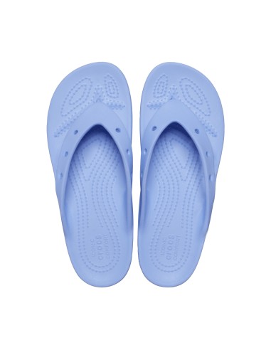 Crocs Classic Σαγιονάρες με Πλατφόρμα σε Μωβ Χρώμα 207714-5Q6