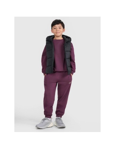 Children's down vest with synthetic filling 4F 4FJRAW25TVJAU33120S