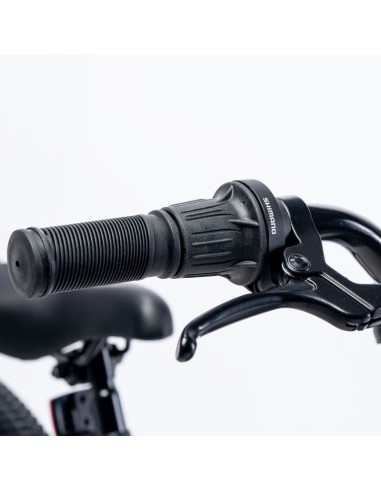 Children's Bike Martes Essentials Ninja 20 92800597994