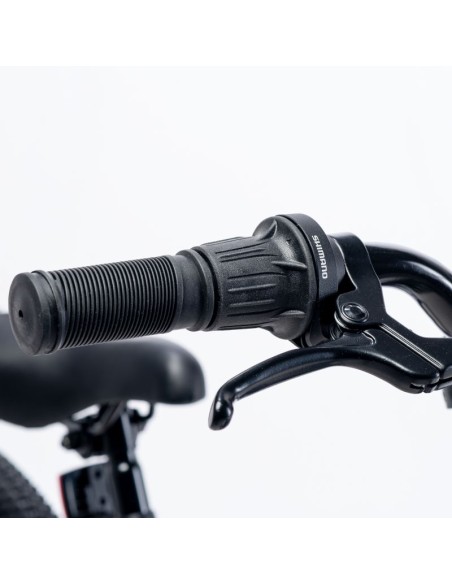 Children's Bike Martes Essentials Ninja 20 92800597994