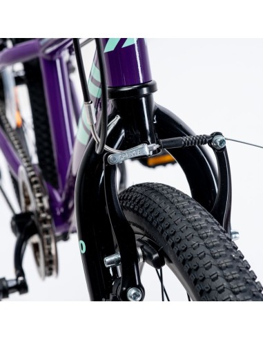 Children's Bike Martes Essentials Ninja 20 92800597994