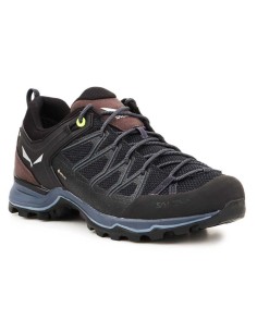 Salewa Mtn Trainer Lite GTX M 613610971 shoes