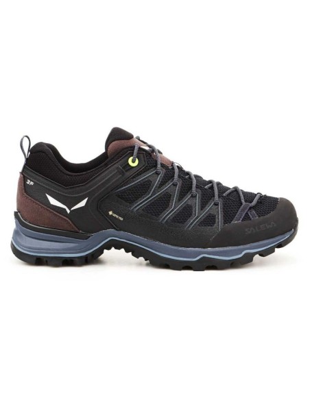 Salewa Mtn Trainer Lite GTX M 613610971 shoes
