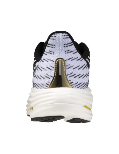 Mizuno WAVE RIDER 29 J1GC266301 shoes