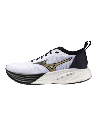 Mizuno NEO ZEN 2 J1GC268201 shoes