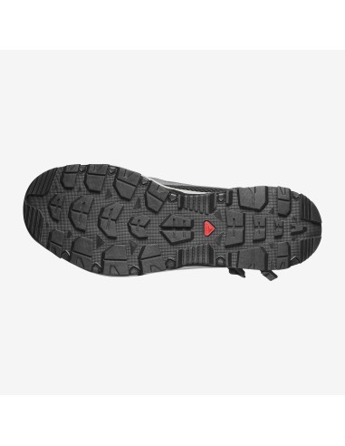 Salomon Techamphibian 5 L49227700