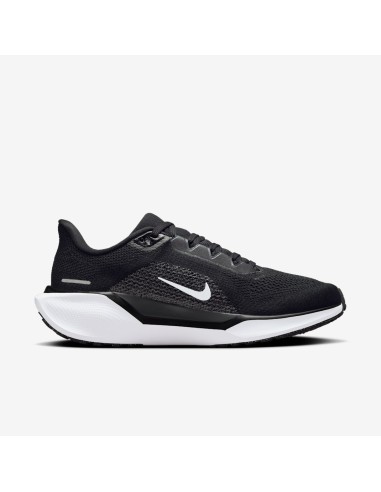 Nike Pegasus 41 FD2723002