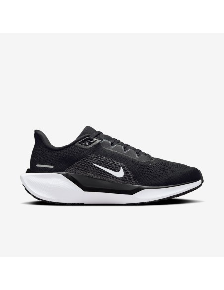 Nike Pegasus 41 FD2723002