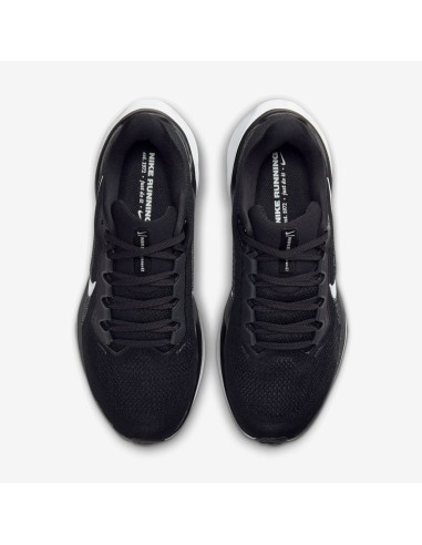 Nike Pegasus 41 FD2723002