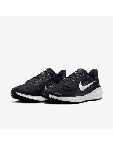 Nike Pegasus 41 FD2723002