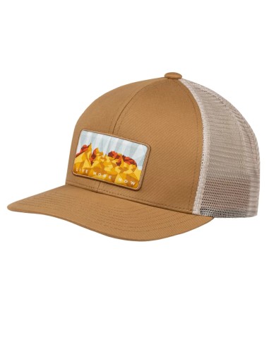 Buff Explore Trucker Cap 137852350