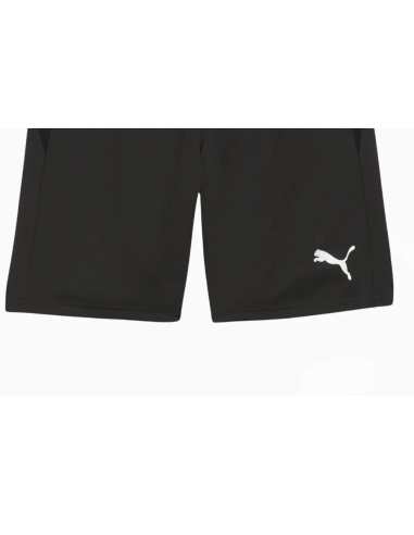 Puma teamGOAL Casuals M shorts 658608 03