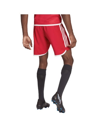 adidas Tiro 23 Competition Match men's shorts red HL4790