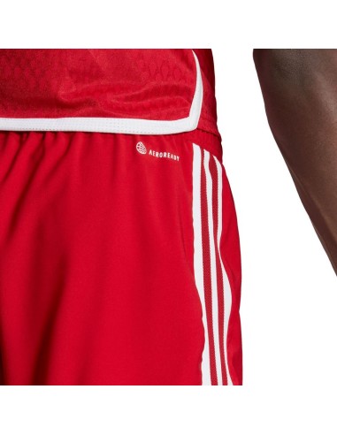 adidas Tiro 23 Competition Match men's shorts red HL4790