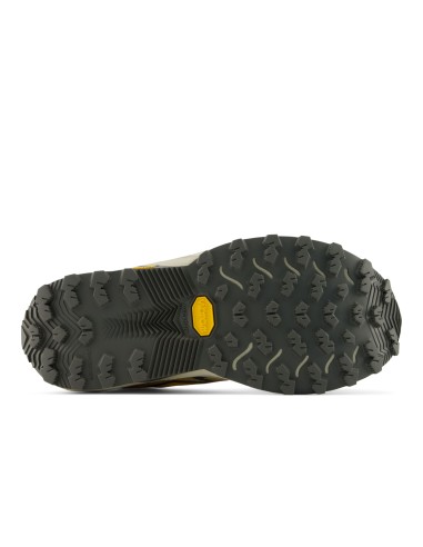 New Balance FuelCell Rebel Trail WRBT6G2