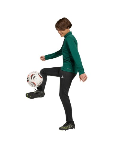 adidas Entrada 26 Training Top green kids sweatshirt KE9825