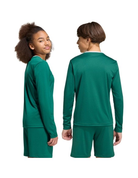 adidas Entrada 26 Long Sleeve Jersey for Kids Green KF5873