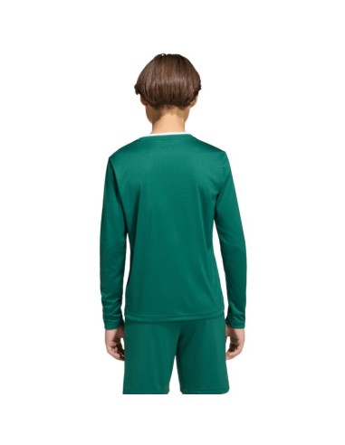 adidas Entrada 26 Long Sleeve Jersey for Kids Green KF5873