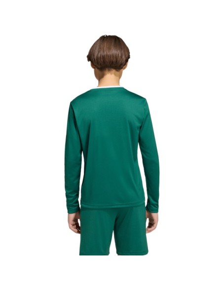 adidas Entrada 26 Long Sleeve Jersey for Kids Green KF5873