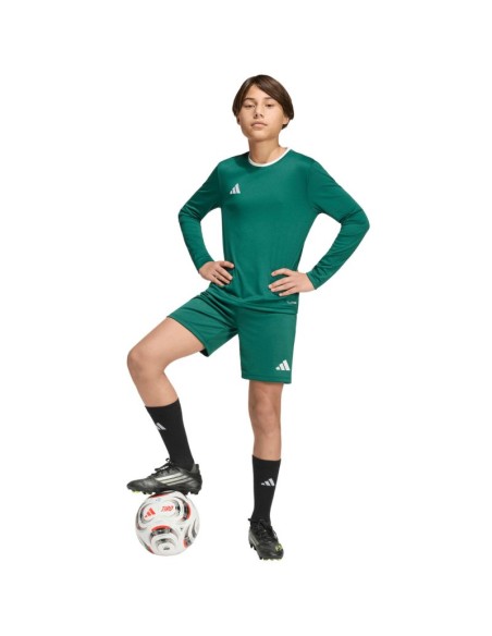 adidas Entrada 26 Long Sleeve Jersey for Kids Green KF5873