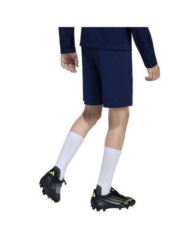 Adidas ENTRADA 26 Training Short Y JZ9130 shorts