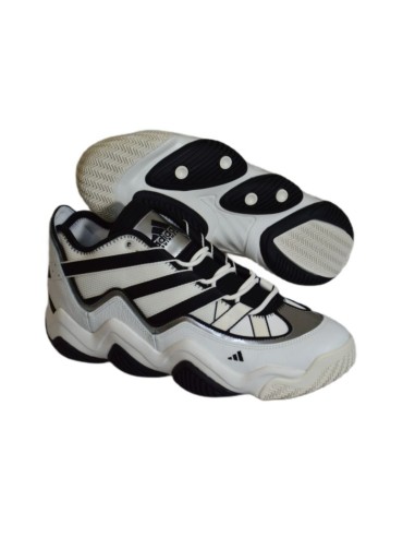 Adidas Top Ten 2010 Men's Basketball Shoes White Black HR0099