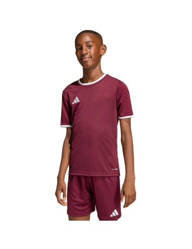 adidas Entrada 26 Jersey burgundy kids' Tshirt JZ2530
