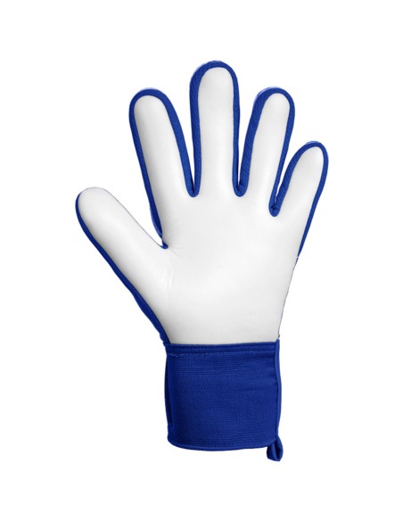 Reusch Attrakt Starter Solid Gloves 56 70 514 4126