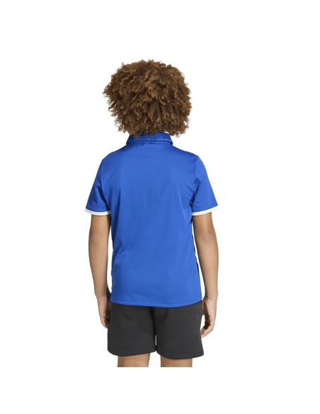 adidas Entrada 26 Polo Tshirt for kids blue JZ6625