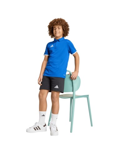 adidas Entrada 26 Polo Tshirt for kids blue JZ6625