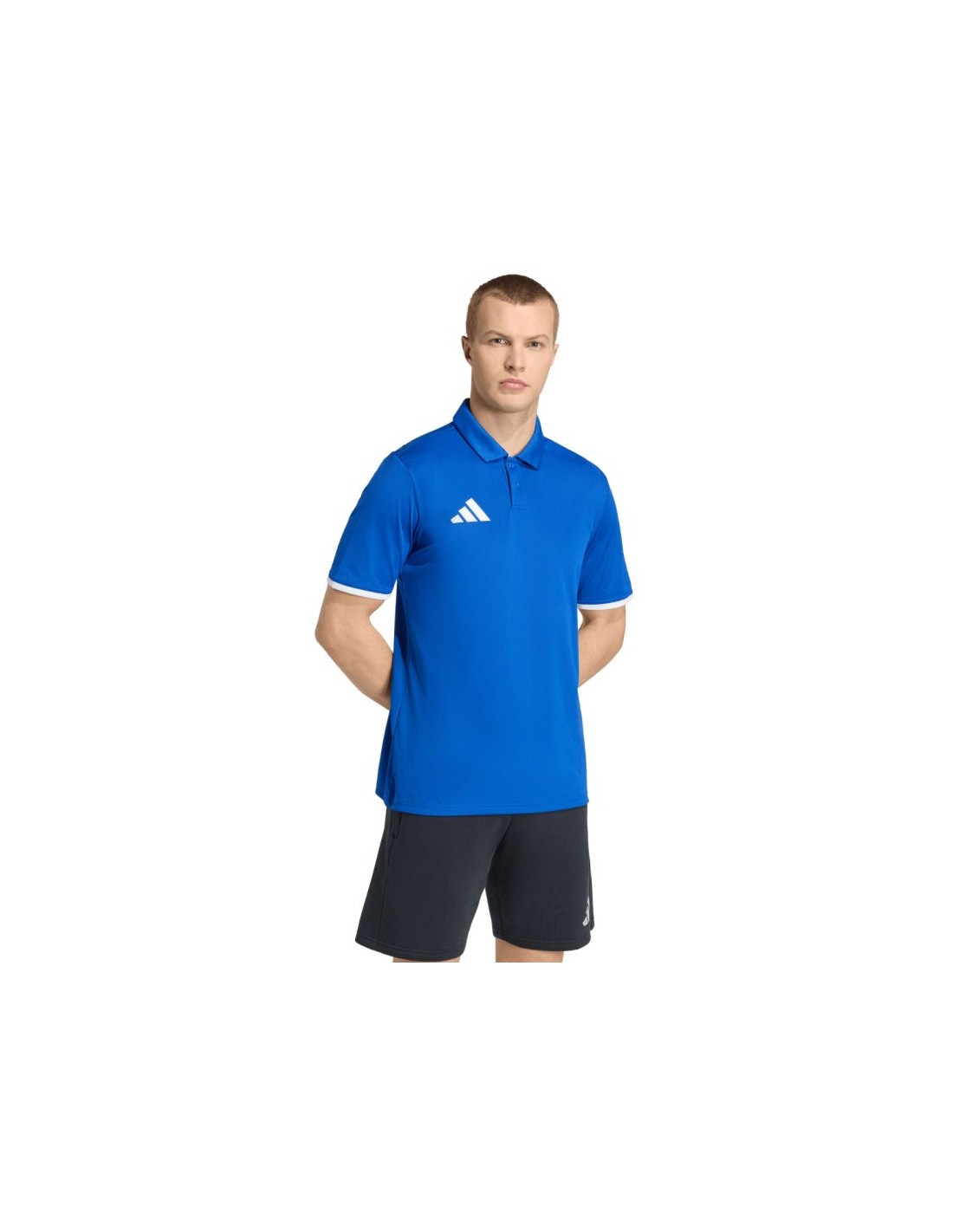 Men's adidas Entrada 26 Polo Tshirt blue JZ6665