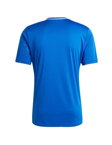 Men's adidas Campeon 25 Jersey blue JD9099