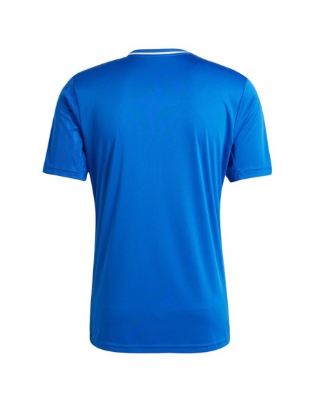 Men's adidas Campeon 25 Jersey blue JD9099