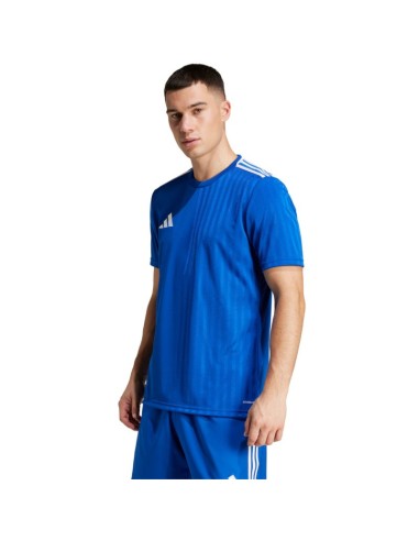 Men's adidas Campeon 25 Jersey blue JD9099